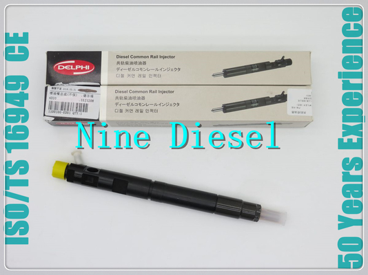 Great Wall Hover Delphi Diesel Fuel Injectors 28231014 1100100-ED01