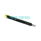 EJBR03301D​ Delphi Diesel Injector , Common Rail Injector Delphi For JMC